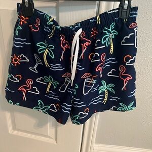 Chubbies Swim Trunks